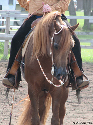 Riurik at the 2012 NMAHA Show